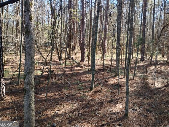 2331 Kesler Road Carnesville, GA 30521 - Photo 17 of 50 a view of outdoor space with lots of trees