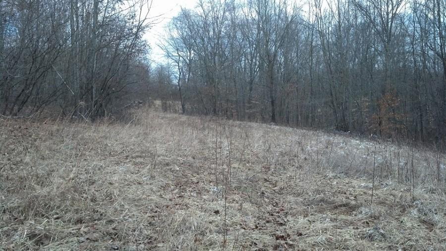0 Darst Road Albany, OH 45710 - Photo 11 of 14
