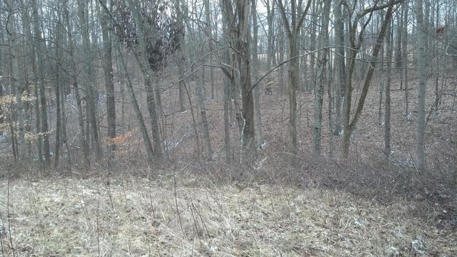 0 Darst Road Albany, OH 45710 - Photo 12 of 14