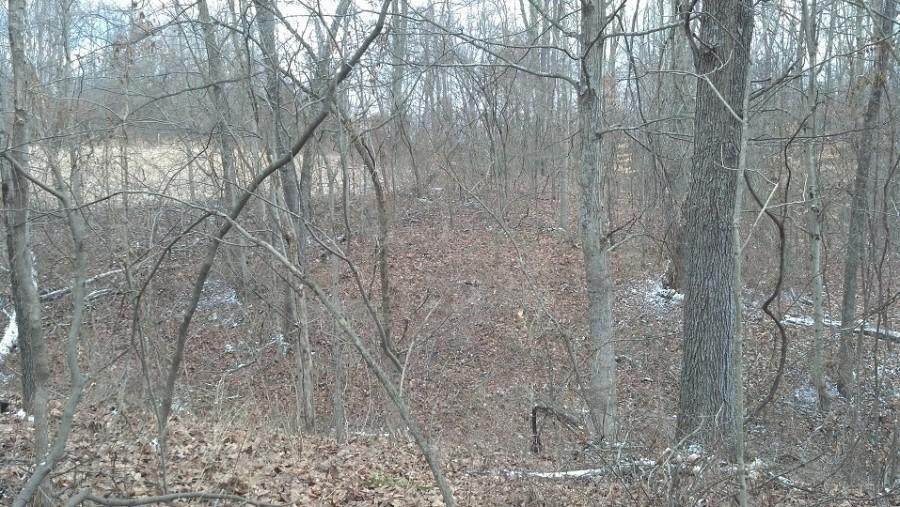 0 Darst Road Albany, OH 45710 - Photo 13 of 14