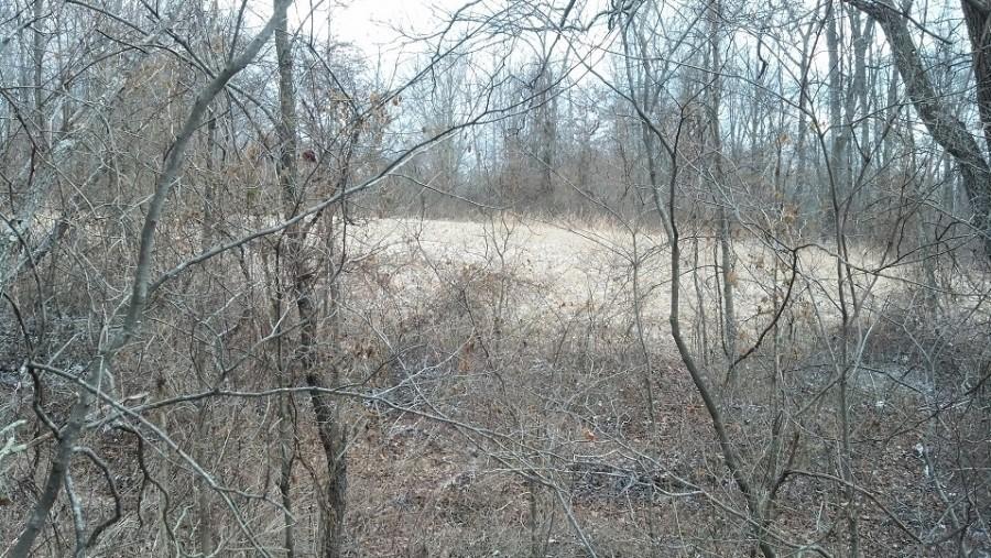 0 Darst Road Albany, OH 45710 - Photo 14 of 14