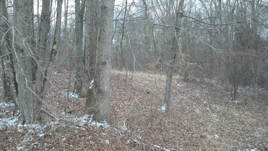 0 Darst Road Albany, OH 45710 - Photo 10 of 14