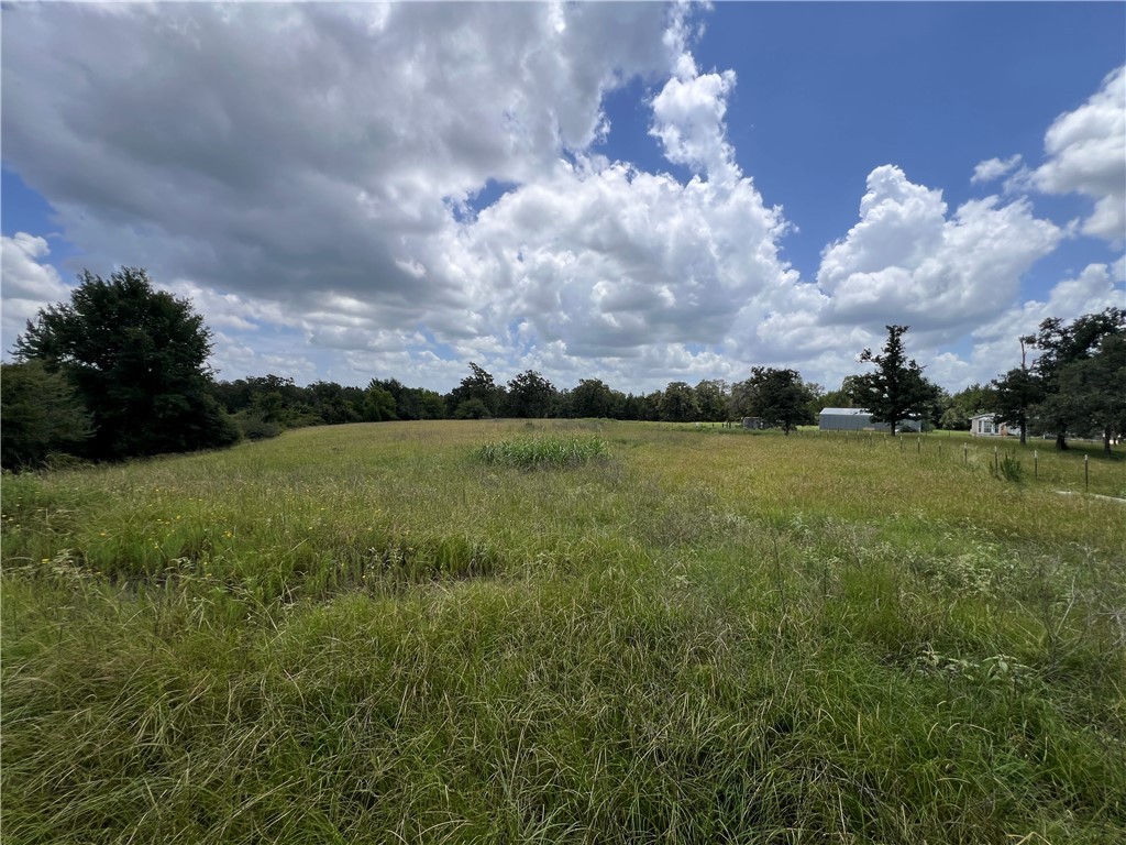 342 County Road 342 Milano, TX 76556 - Photo 12 of 19 View of undeveloped land featuring rural landscape