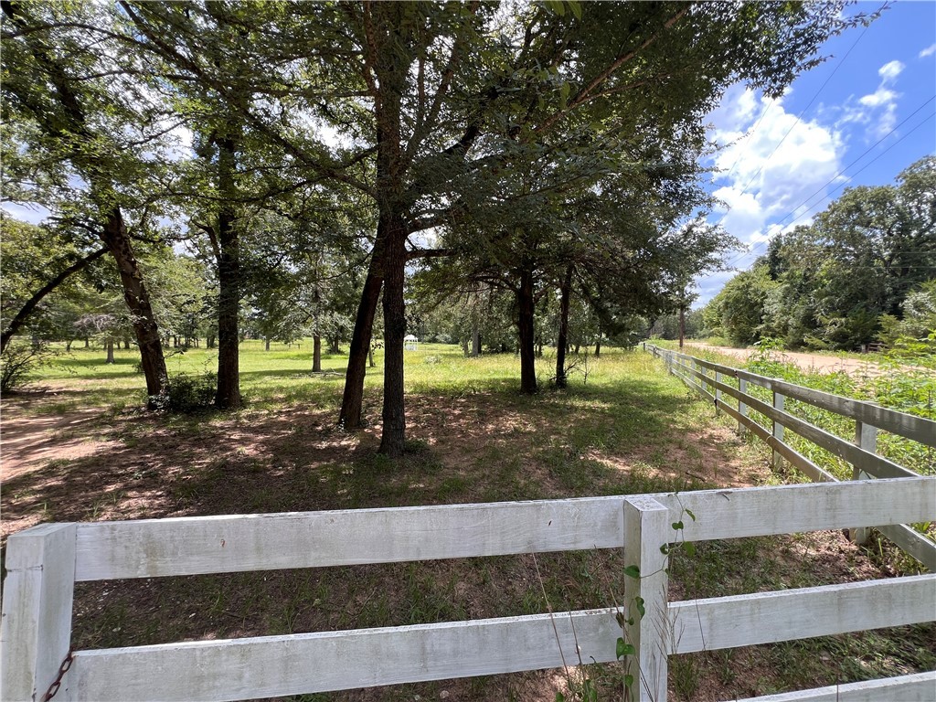 342 County Road 342 Milano, TX 76556 - Photo 2 of 19 View of yard
