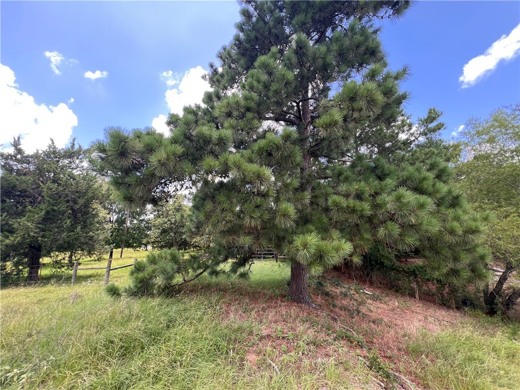 342 County Road 342 Milano, TX 76556 - Photo 8 of 19 View of undeveloped land