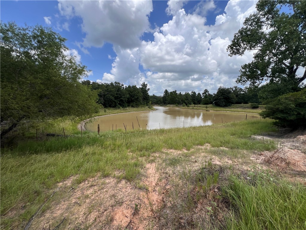 342 County Road 342 Milano, TX 76556 - Photo 10 of 19 Water view with a heavily wooded area