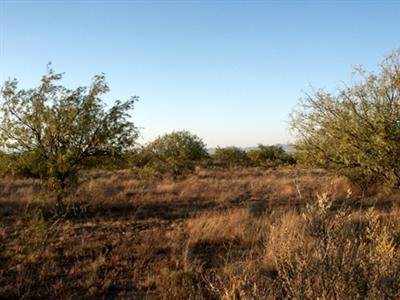 0 Oberlon Road Cochise, AZ 85606 - Photo 3 of 5