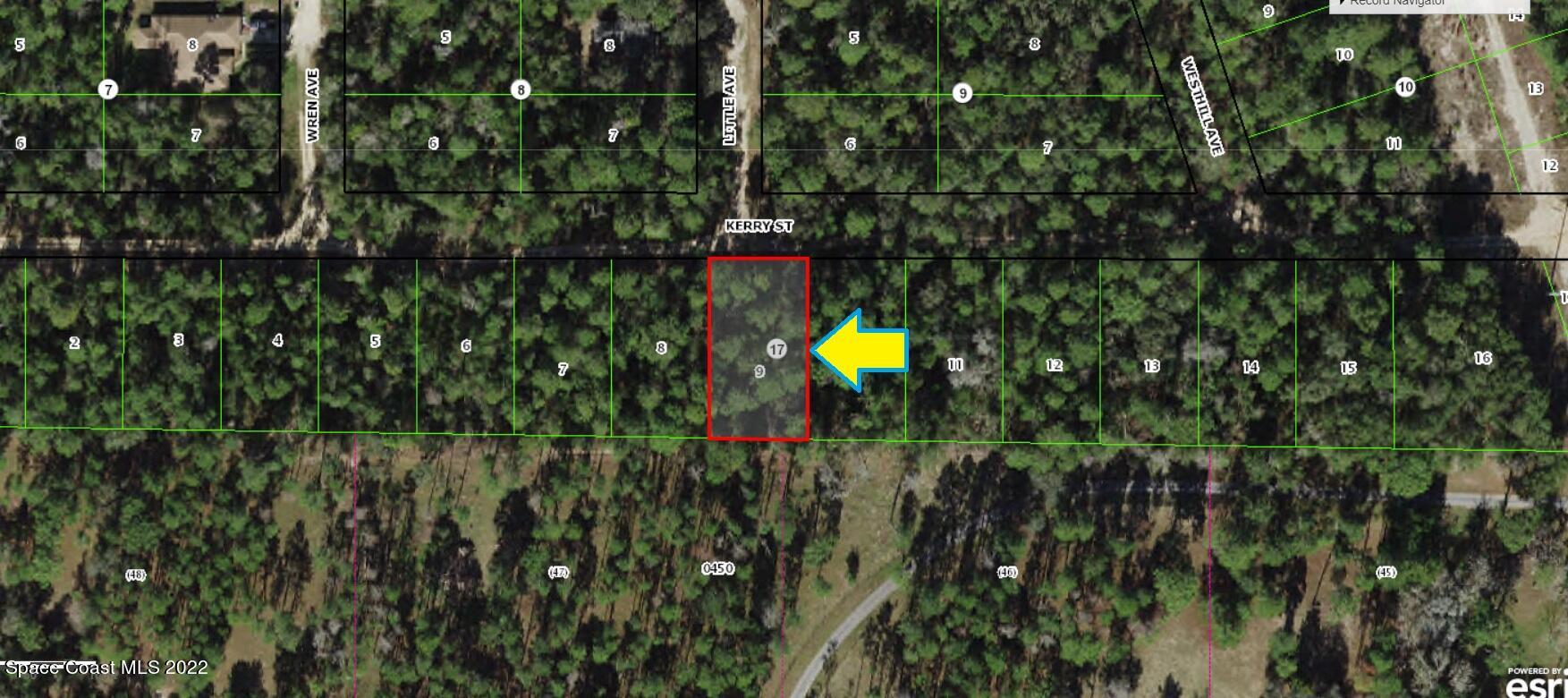 2811 Kerry Street Inverness, FL 34452 - Photo 2 of 5 a view of a backyard