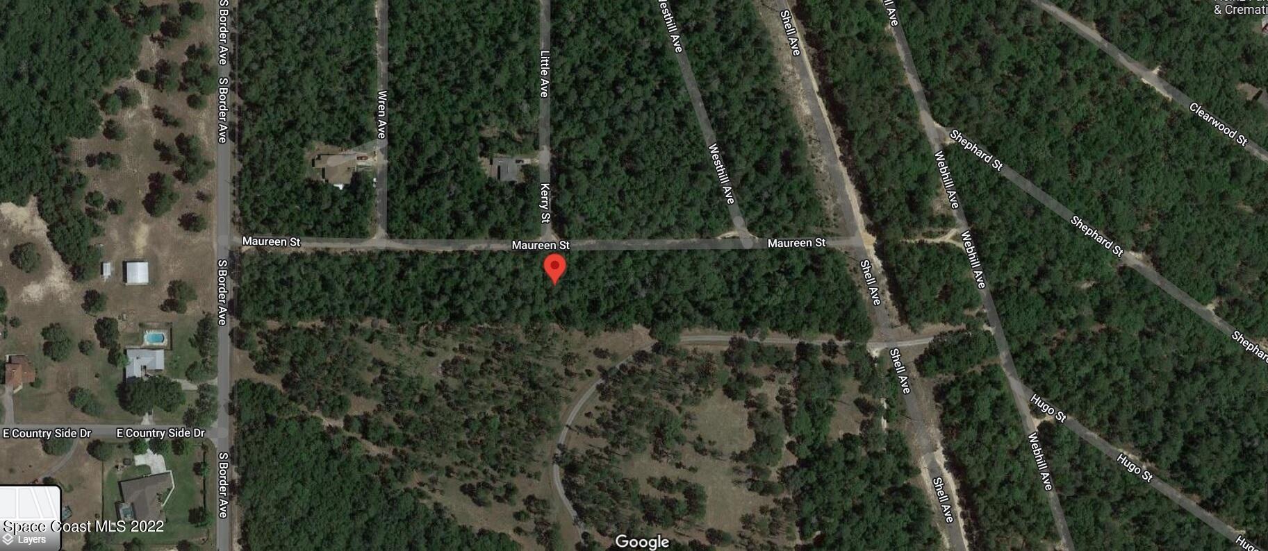 2811 Kerry Street Inverness, FL 34452 - Photo 5 of 5 a view of a forest