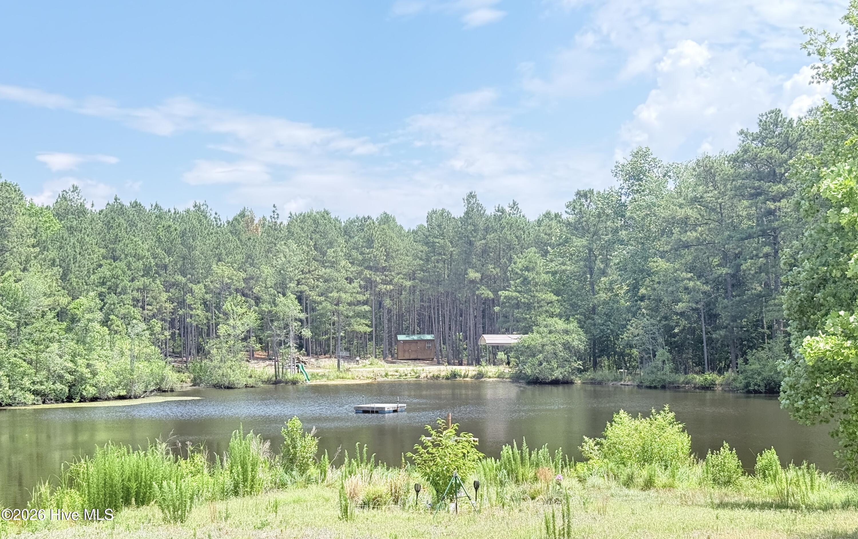 137 Manley Road Carthage, NC 28327 - Photo 3 of 22