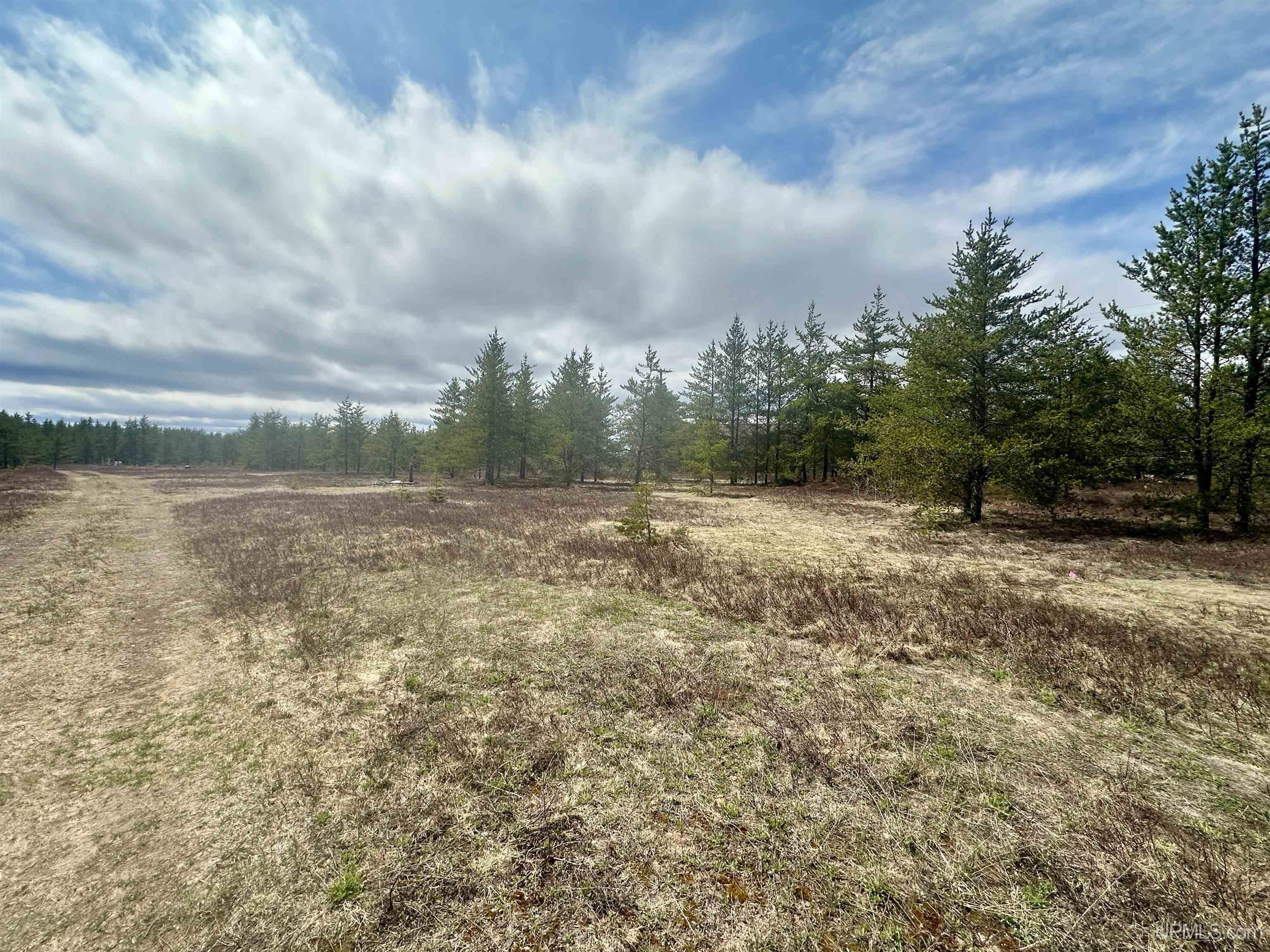 Tbd East Airfield Road Gwinn, MI 49841 - Photo 9 of 18