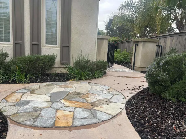 a view of a backyard with plants