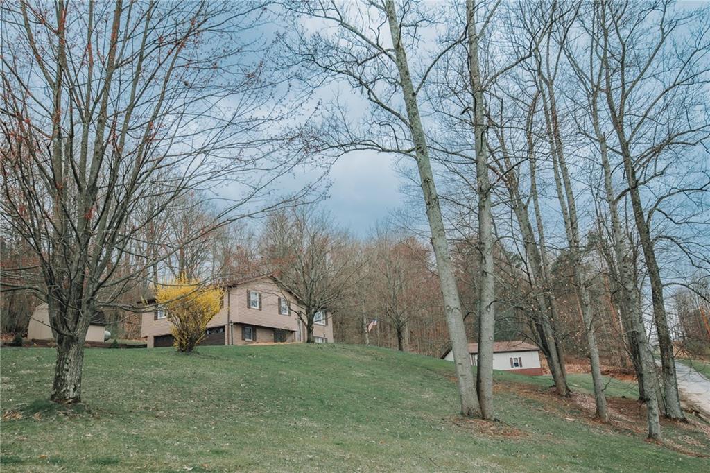 1751 Poulos Road Indiana, PA 15701 - Photo 4 of 34 a front view of a house with a yard and a large tree