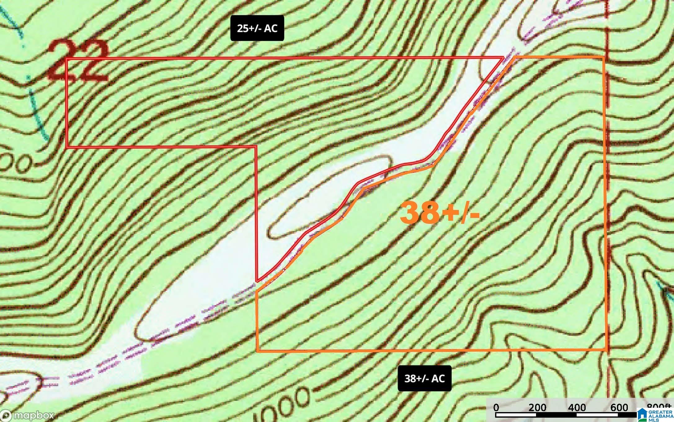 0 Beaver Mountain Road, Unit 38 ACRES Ashville, AL 35953 - Photo 3 of 4