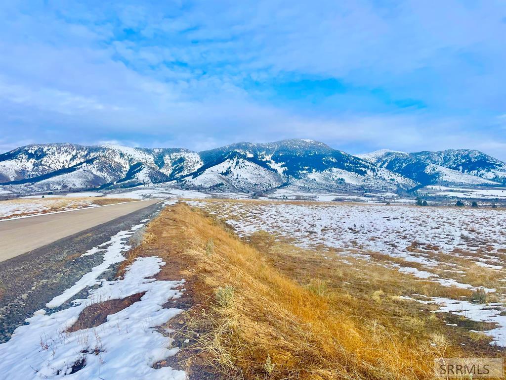 775 Grey Fox Loop Inkom, ID 83245 - Photo 2 of 16