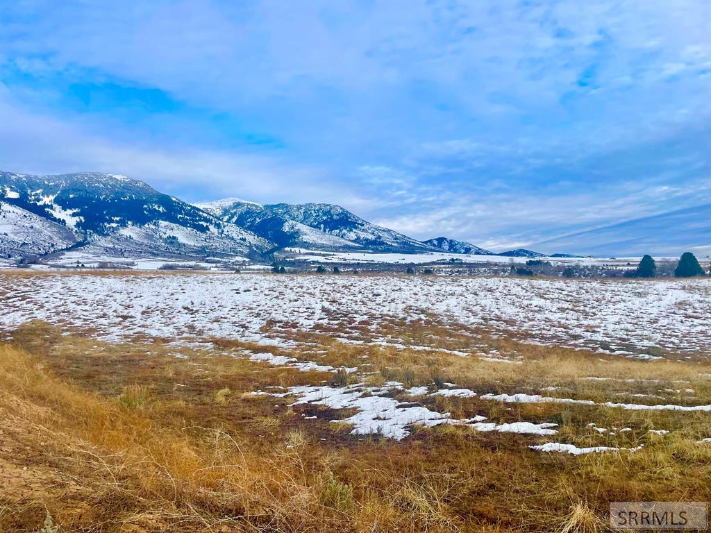 775 Grey Fox Loop Inkom, ID 83245 - Photo 3 of 16