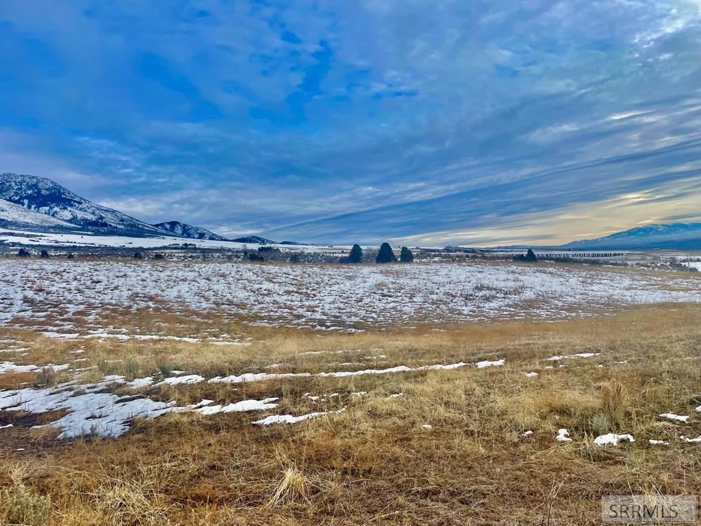 775 Grey Fox Loop Inkom, ID 83245 - Photo 4 of 16