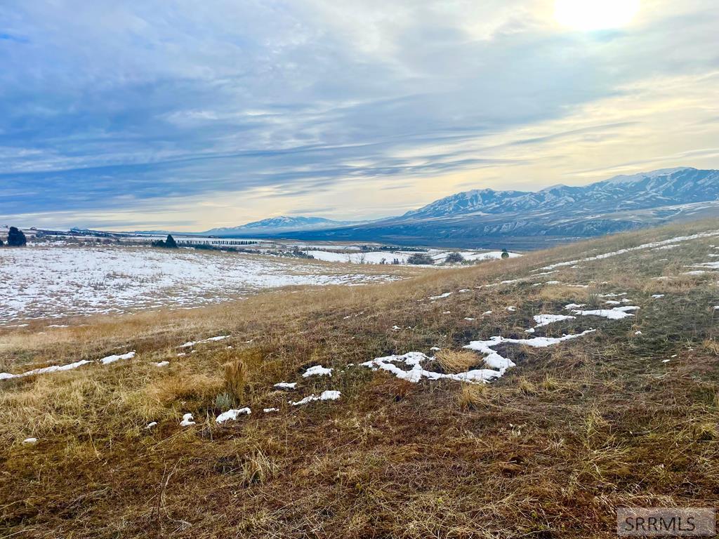 775 Grey Fox Loop Inkom, ID 83245 - Photo 5 of 16