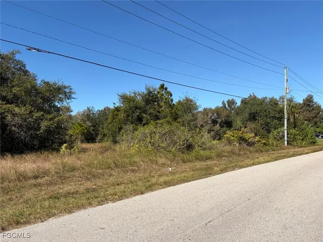 a view of a dry yard with wooden fence