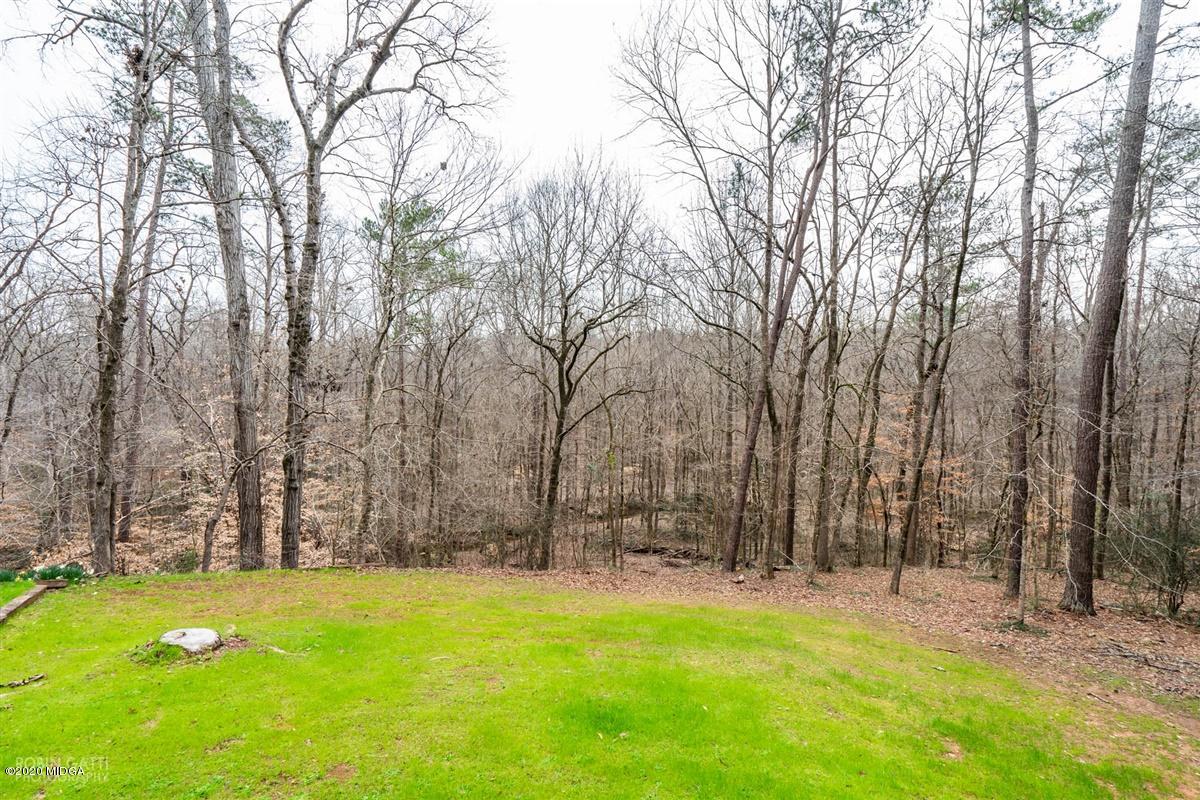 1624 Montpelier Road Forsyth, GA 31029 - Photo 14 of 16 20-DSC00673