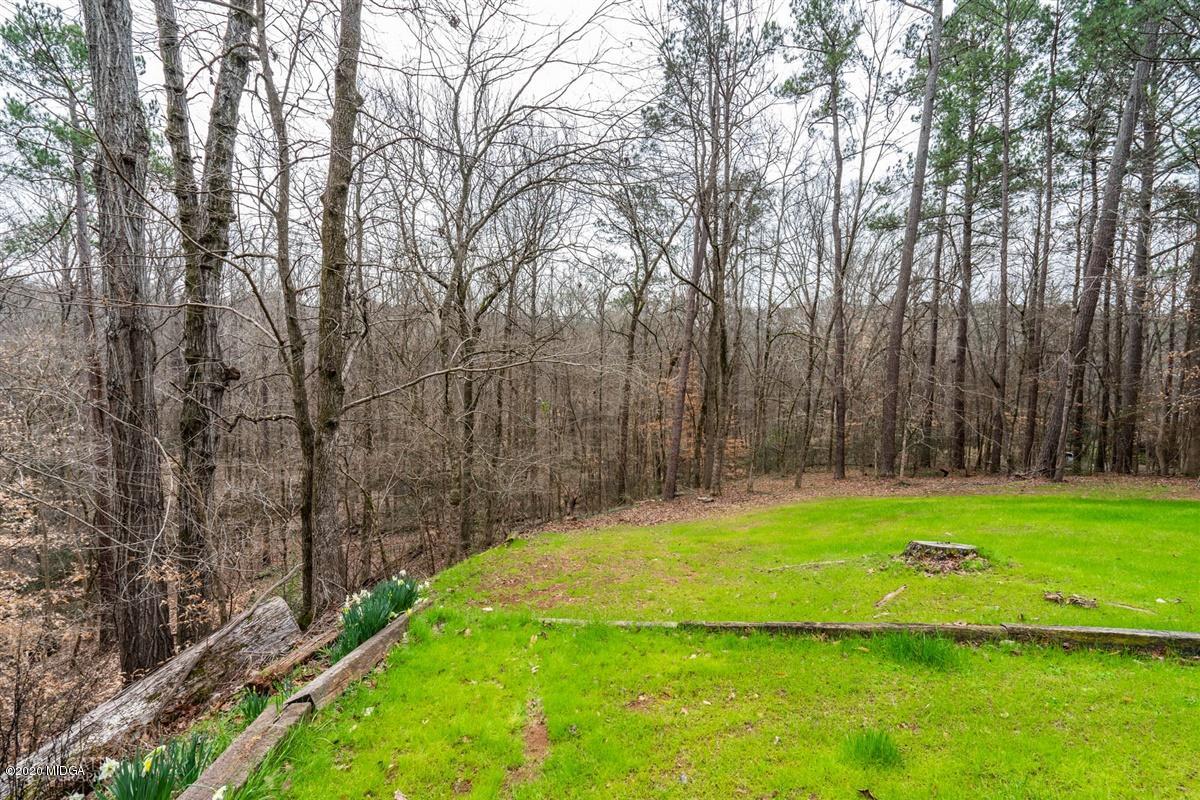 1624 Montpelier Road Forsyth, GA 31029 - Photo 8 of 16 04-DSC00650