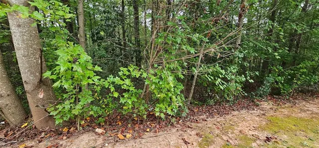 $239,955 | 4467 Watson Ridge Drive, Stone Mountain, GA 30083