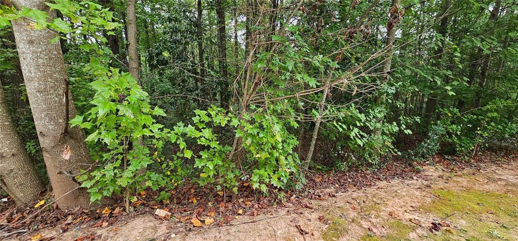 4467 Watson Ridge Drive Stone Mountain, GA 30083 - Photo 47 of 50