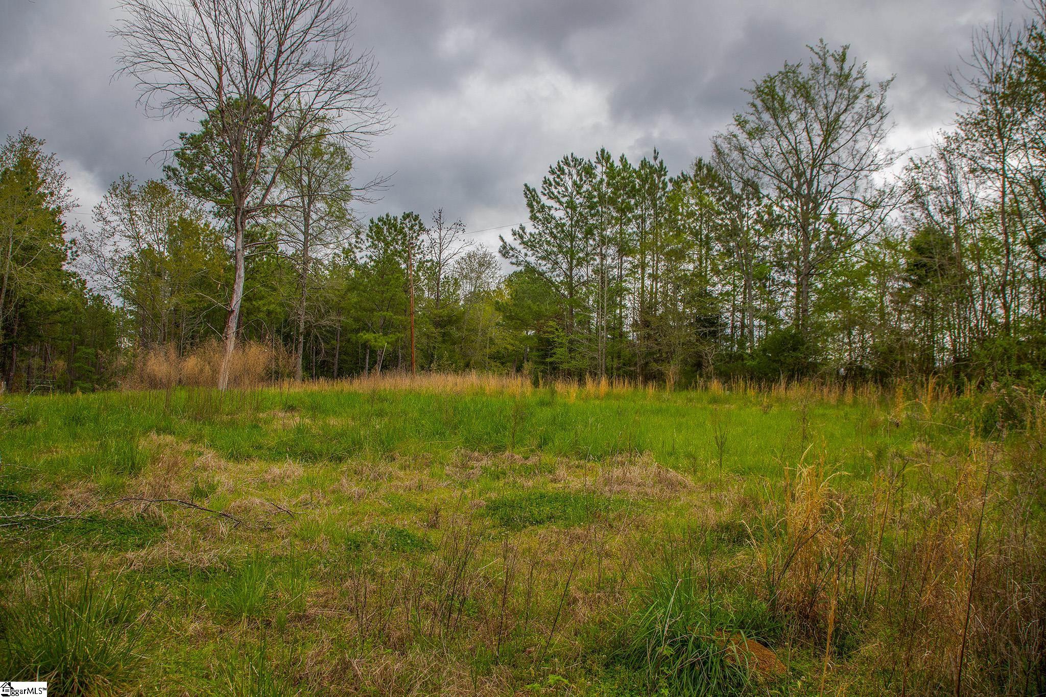 2728 Harris Springs Road Cross Hill, SC 29332 - Photo 11 of 26