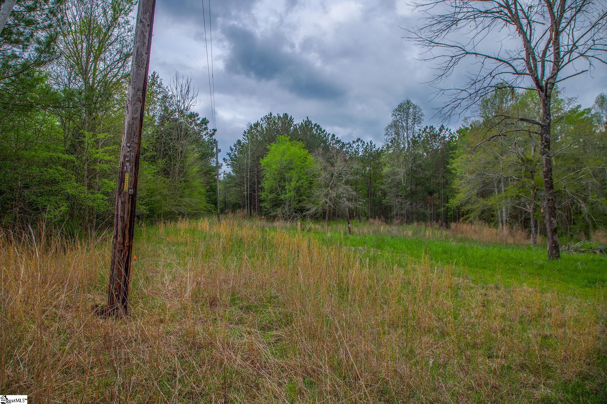 2728 Harris Springs Road Cross Hill, SC 29332 - Photo 2 of 26