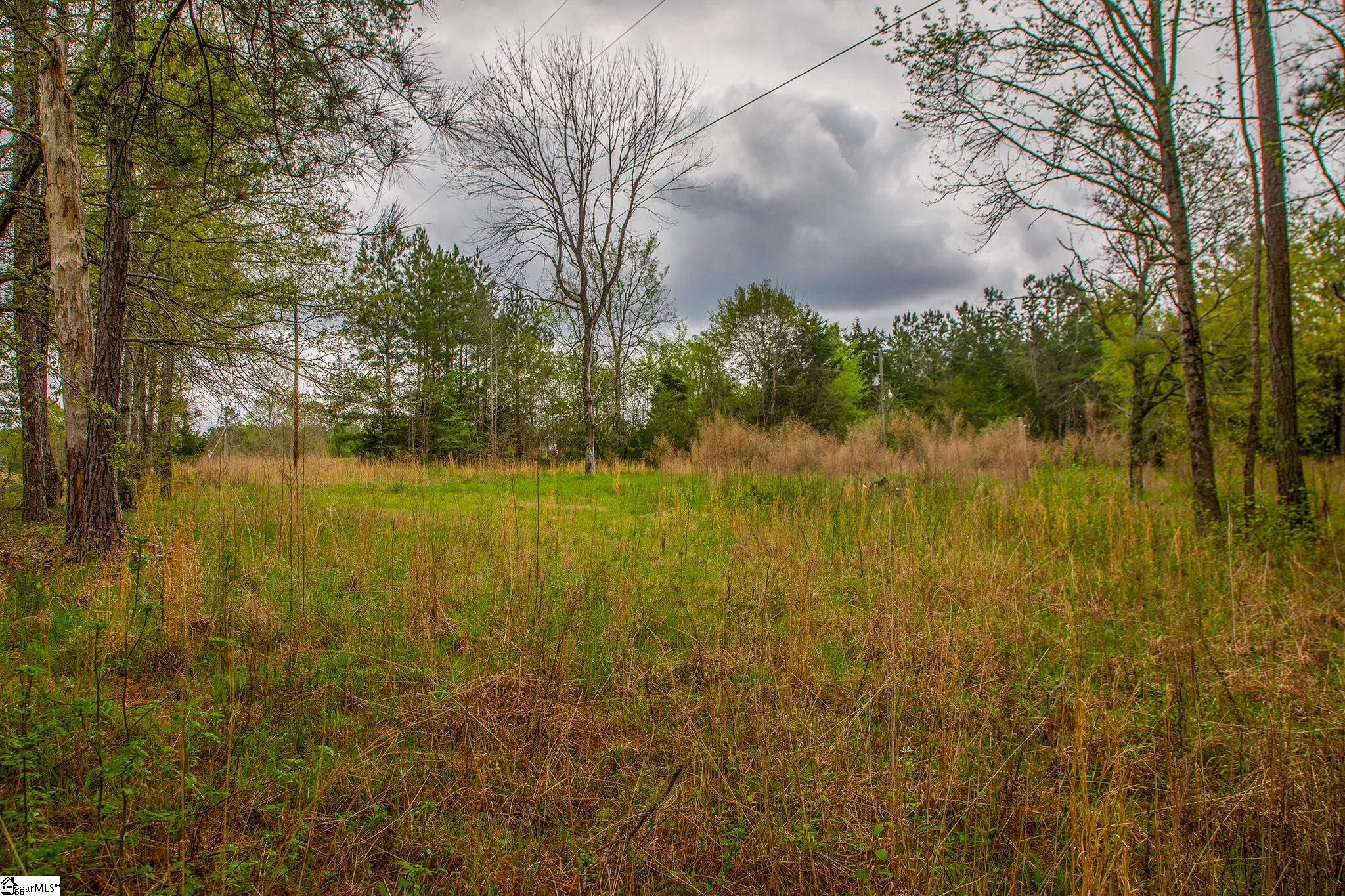 2728 Harris Springs Road Cross Hill, SC 29332 - Photo 23 of 26