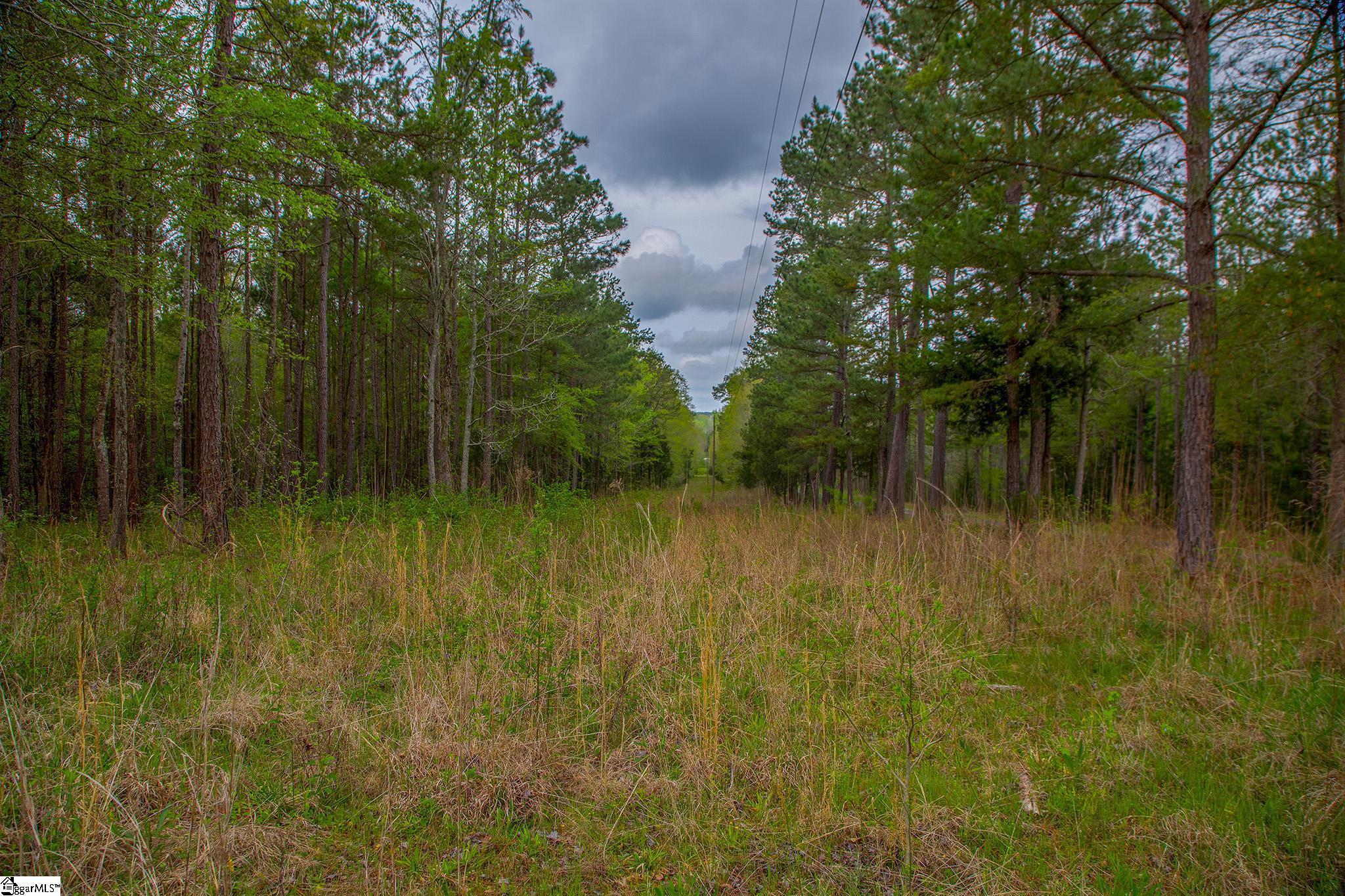 2728 Harris Springs Road Cross Hill, SC 29332 - Photo 24 of 26