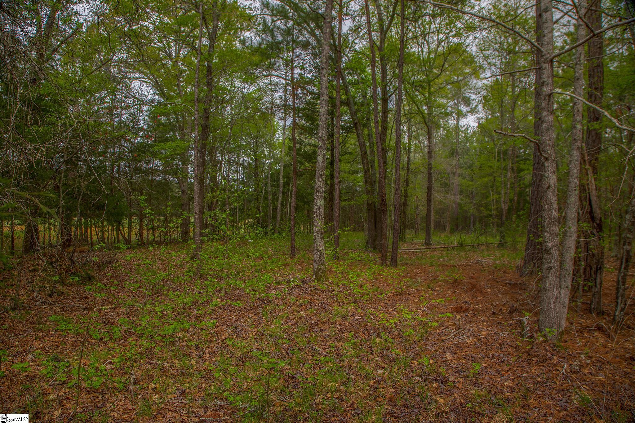 2728 Harris Springs Road Cross Hill, SC 29332 - Photo 25 of 26