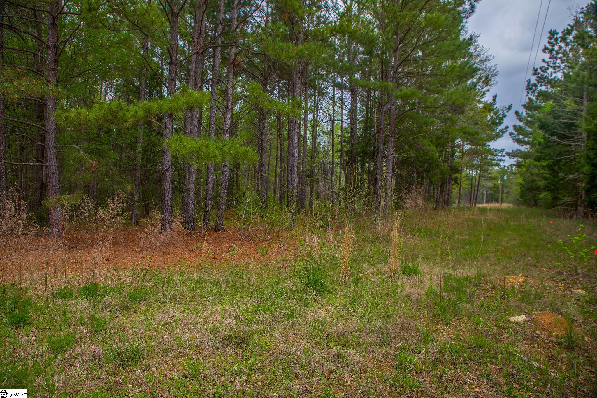 2728 Harris Springs Road Cross Hill, SC 29332 - Photo 26 of 26