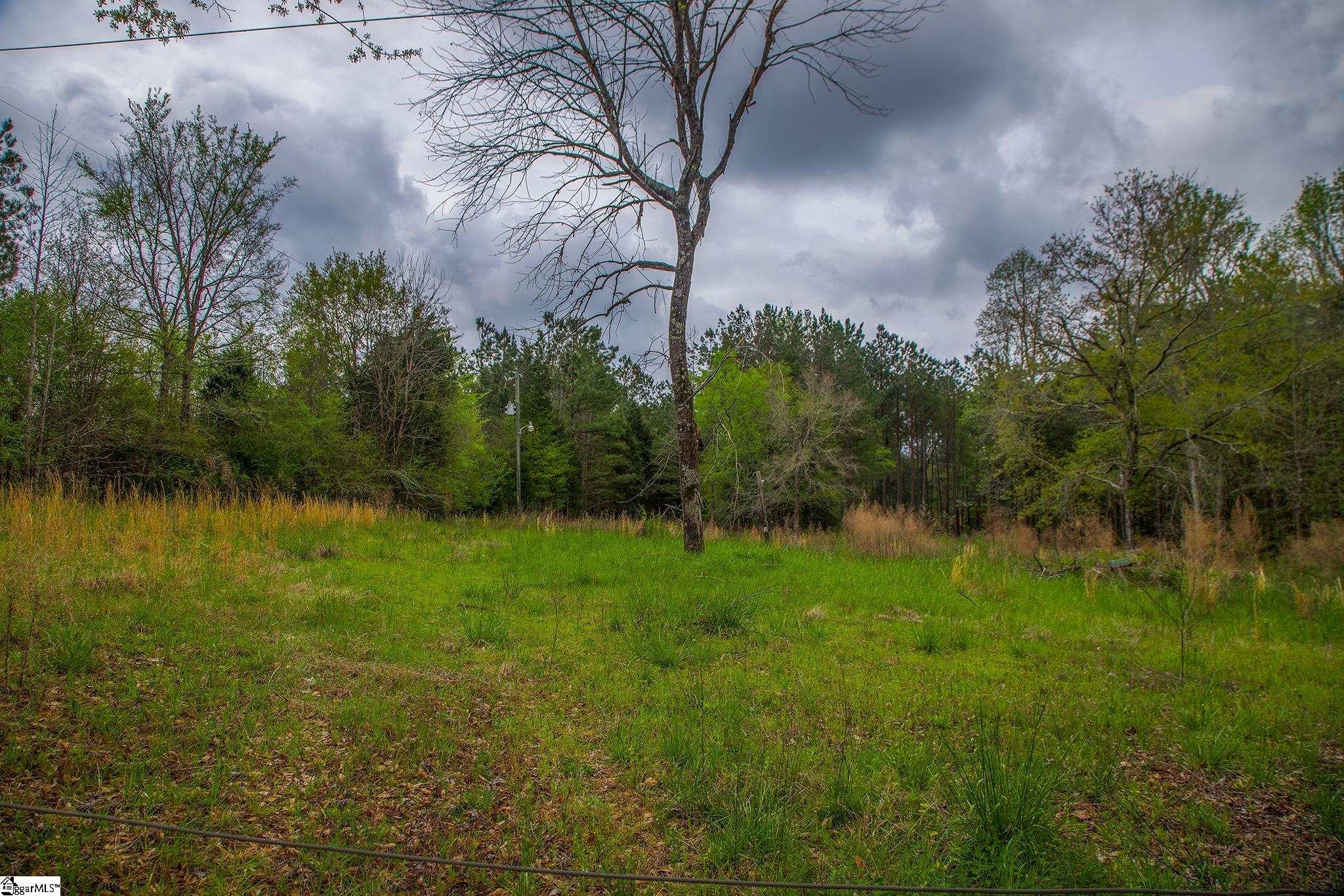 2728 Harris Springs Road Cross Hill, SC 29332 - Photo 3 of 26