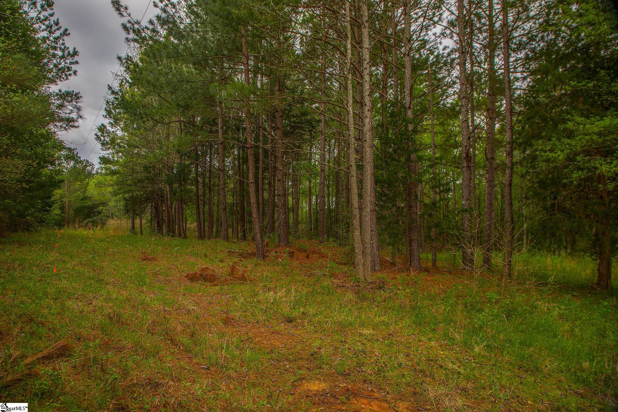 2728 Harris Springs Road Cross Hill, SC 29332 - Photo 4 of 26