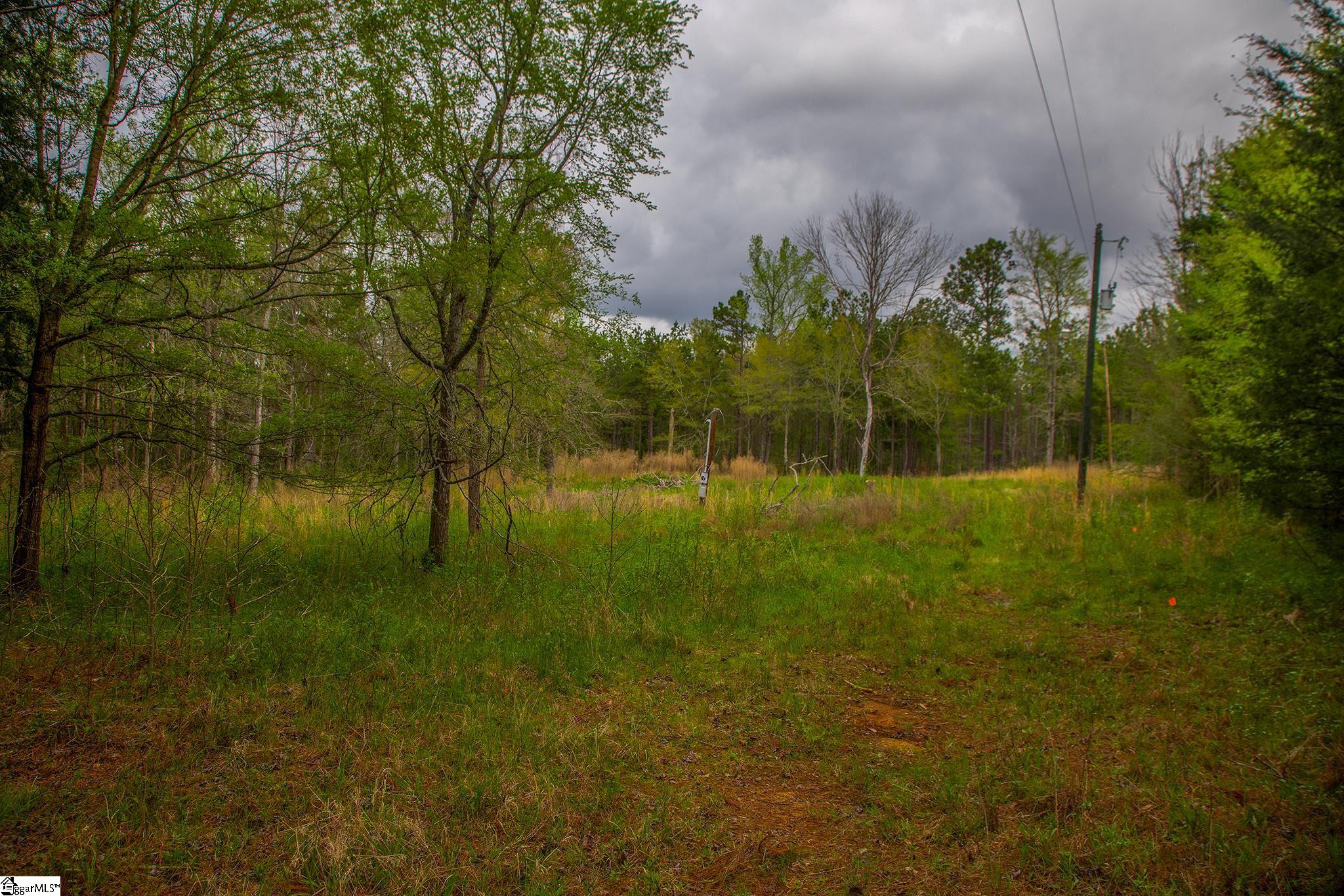 2728 Harris Springs Road Cross Hill, SC 29332 - Photo 5 of 26