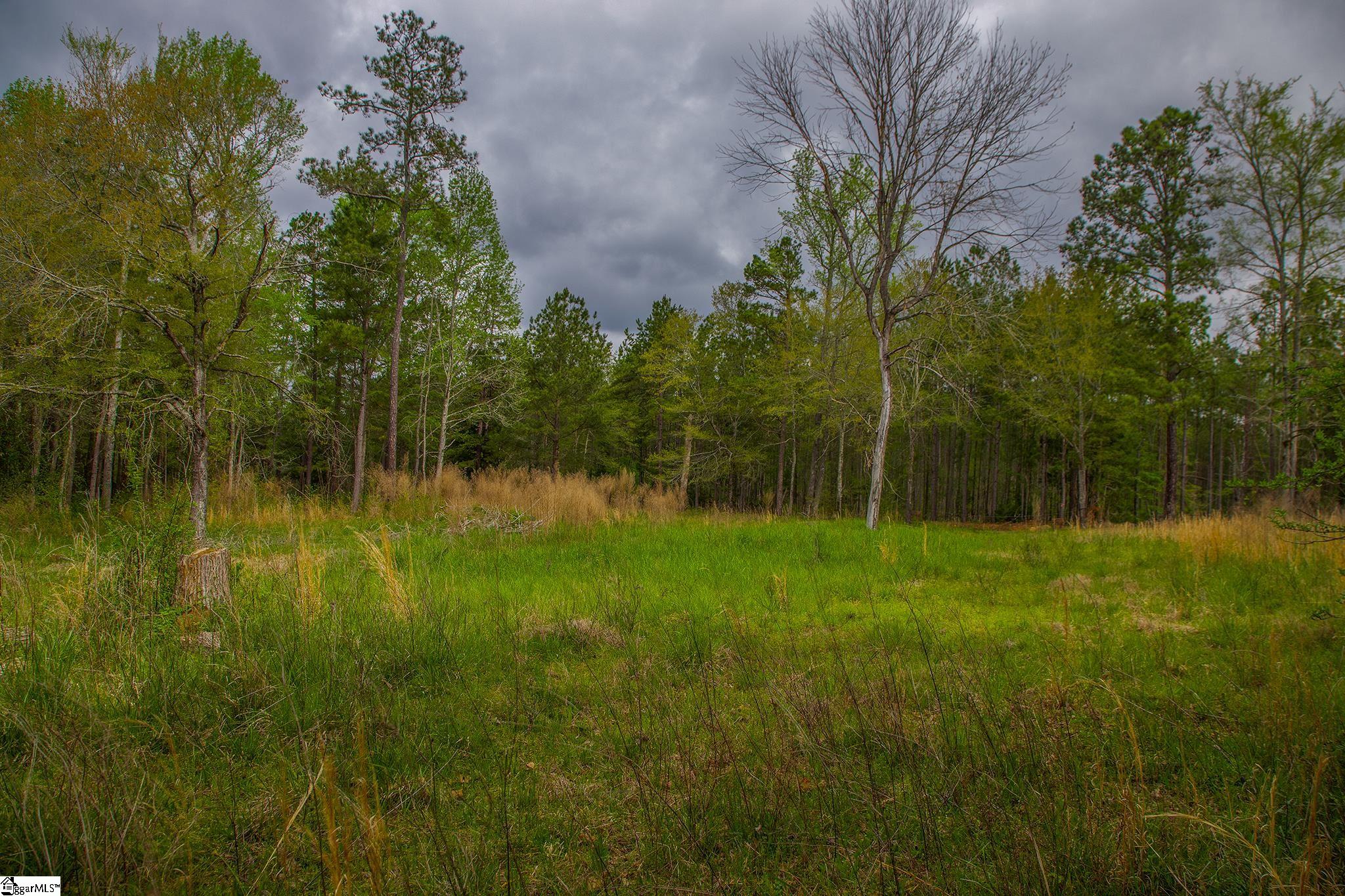 2728 Harris Springs Road Cross Hill, SC 29332 - Photo 6 of 26