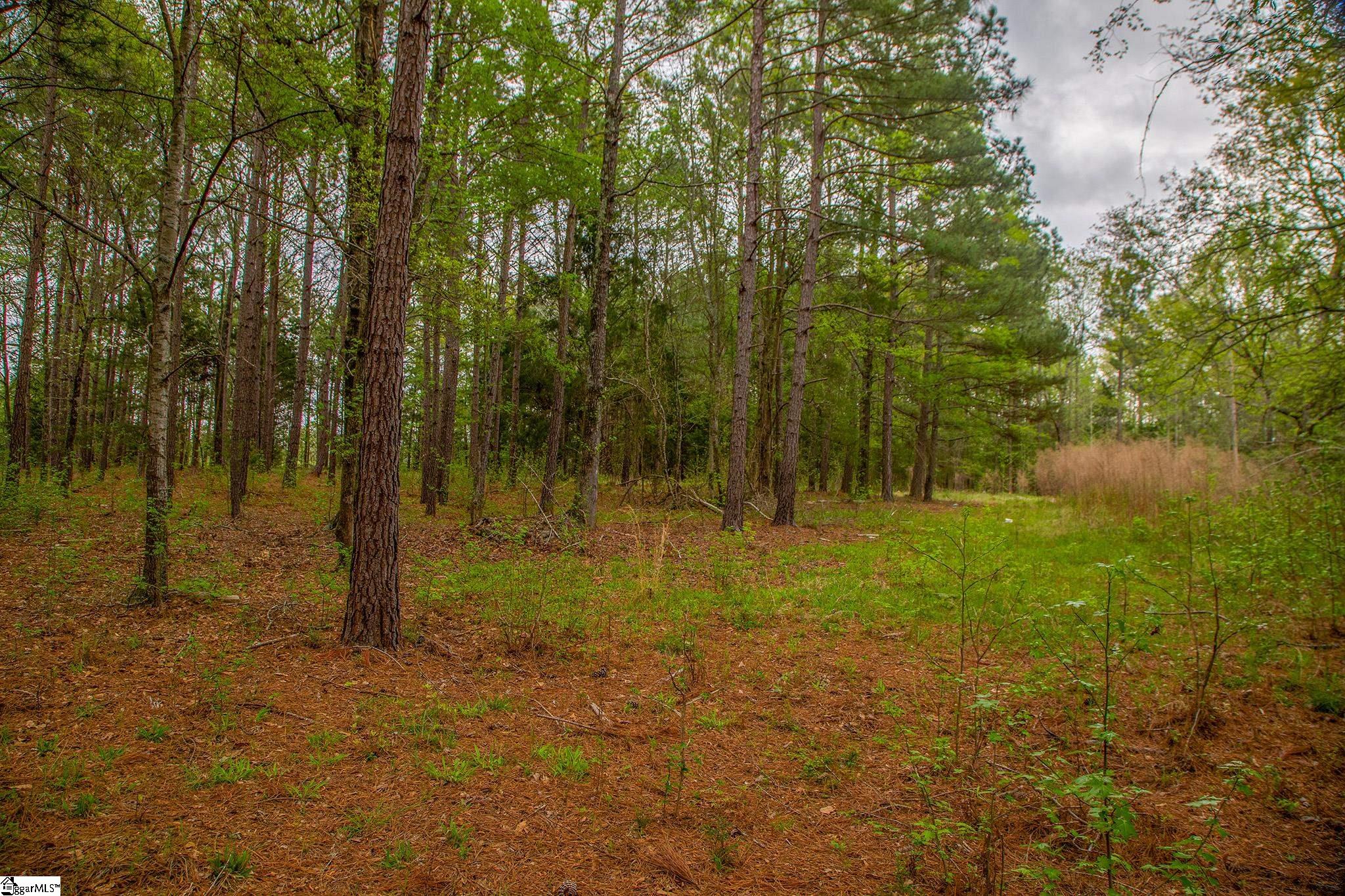 2728 Harris Springs Road Cross Hill, SC 29332 - Photo 8 of 26