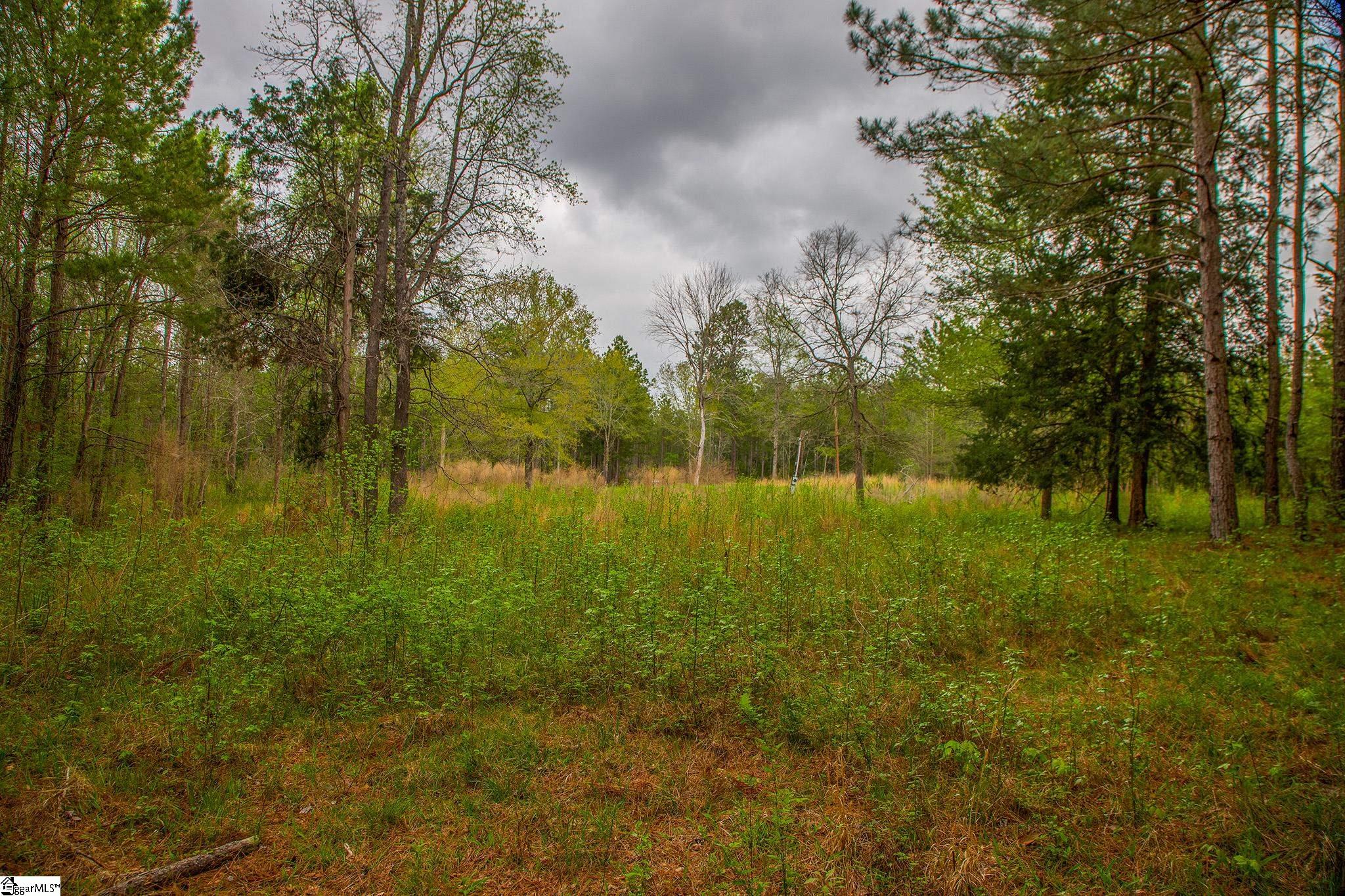 2728 Harris Springs Road Cross Hill, SC 29332 - Photo 9 of 26
