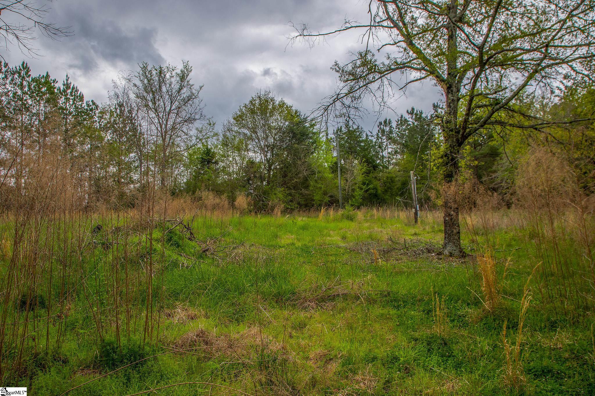 2728 Harris Springs Road Cross Hill, SC 29332 - Photo 10 of 26