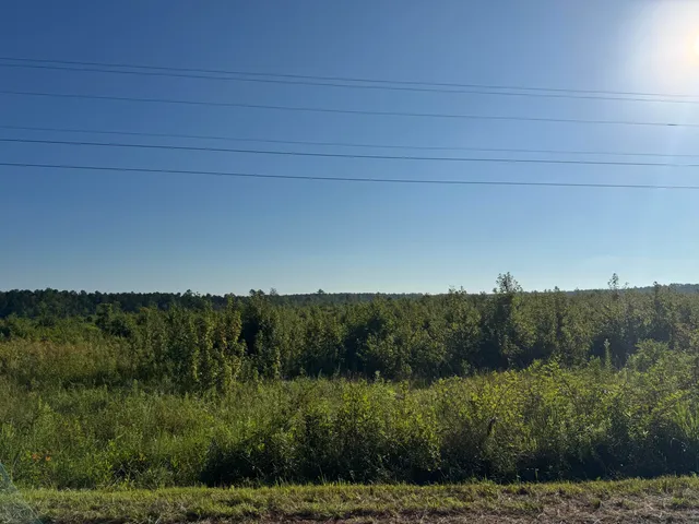 $89,900 | 11-ac Ouzts Road, Edgefield, SC 29824