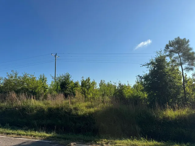 $89,900 | 11-ac Ouzts Road, Edgefield, SC 29824