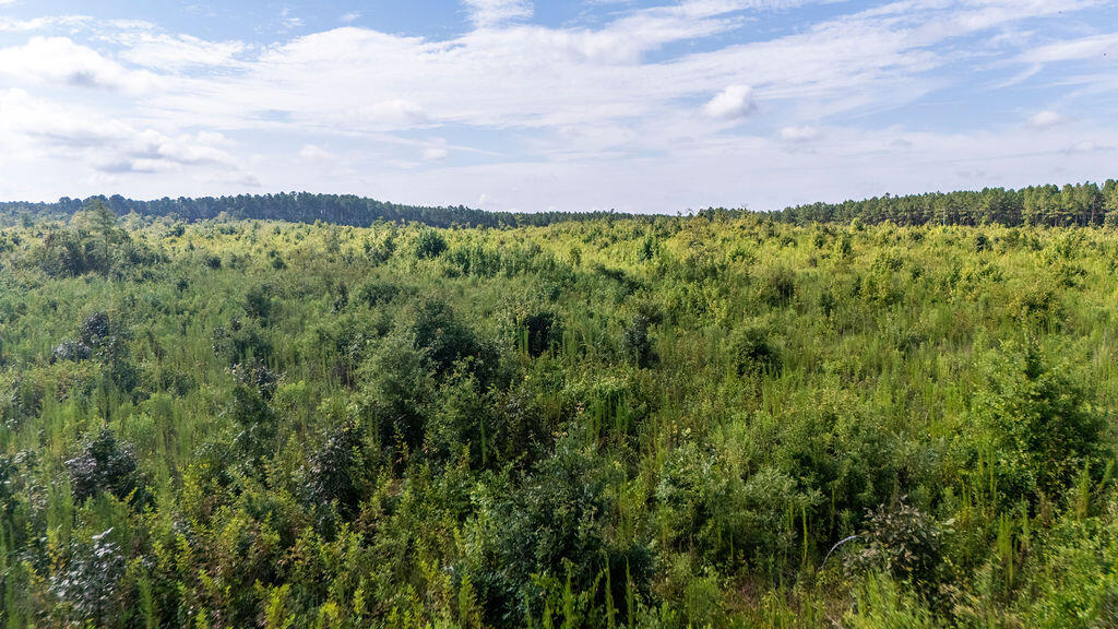 11-ac Ouzts Road Edgefield, SC 29824 - Photo 6 of 7 OuztsRd_9