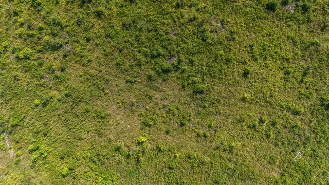 $89,900 | 11-ac Ouzts Road, Edgefield, SC 29824