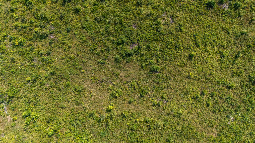 11-ac Ouzts Road Edgefield, SC 29824 - Photo 7 of 7 OuztsRd_4