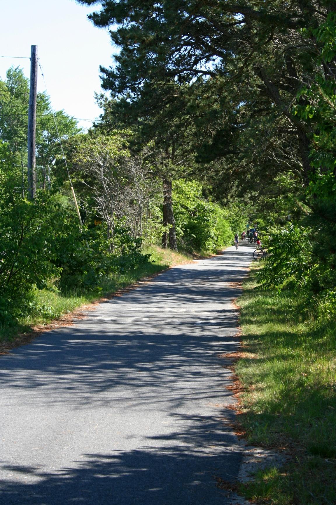 0 Bog Pond Road Brewster, MA 02631 - Photo 3 of 8 bike path