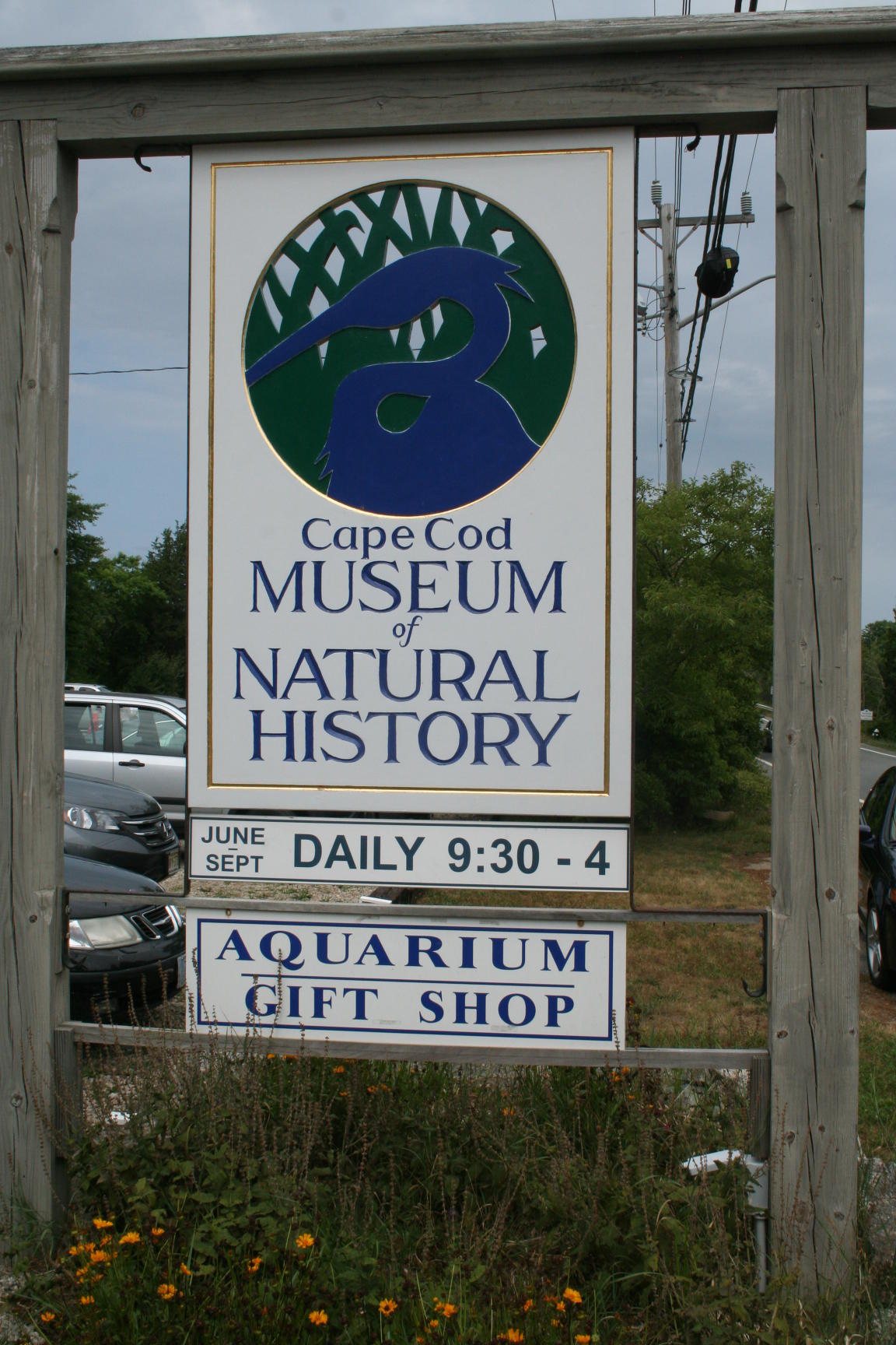 0 Bog Pond Road Brewster, MA 02631 - Photo 5 of 8 IMG_7134