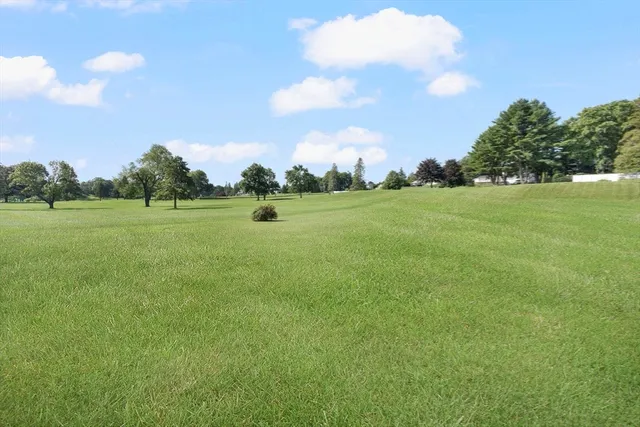 a view of a big yard with a large trees