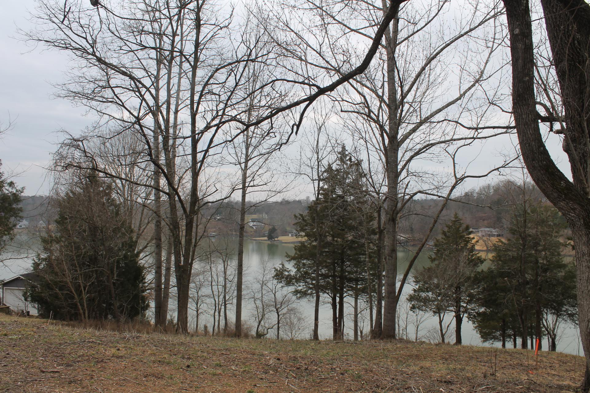 1153 Carters Island Road Goodview, VA 24095 - Photo 3 of 29 a view of a yard with trees