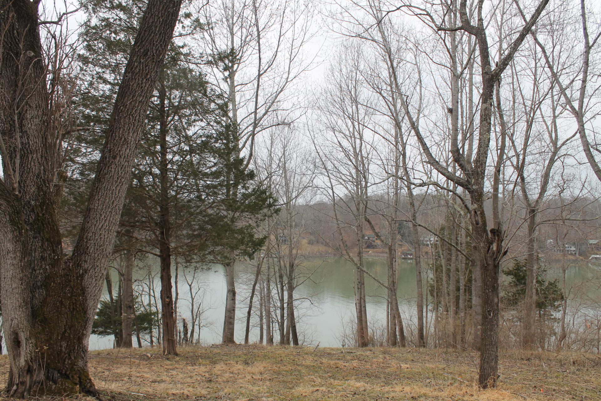 1153 Carters Island Road Goodview, VA 24095 - Photo 4 of 29 a view of outdoor space